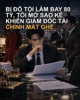 Bị Đổ Tội Làm Bay 80 Tỷ, Tôi Mở Sao Kê Khiến Giám Đốc Tài Chính Mất Ghế